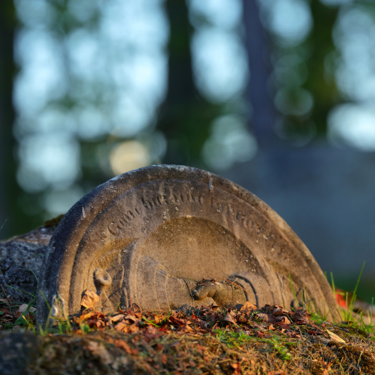 Burial Records Card Cap